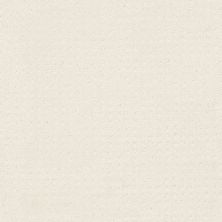 Shaw Floors Nfa/Apg Well Mannered Crisp Linen