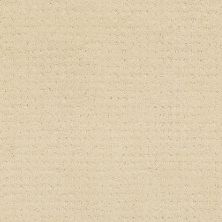 Shaw Floors Nfa/Apg Well Mannered Treasure