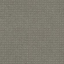 Shaw Floors Nfa/Apg Well Mannered Slate