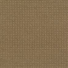 Shaw Floors Nfa/Apg Well Mannered Grounded