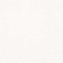 Shaw Floors Nfa/Apg Culture Club White Hot