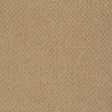 Shaw Floors Nfa/Apg Culture Club Warmth