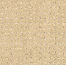 Shaw Floors Nfa/Apg Global Chic Golden Rule