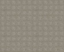 Shaw Floors Nfa/Apg Global Chic Lady In Gray