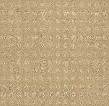 Shaw Floors Nfa/Apg Global Chic Warmth