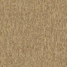 Shaw Floors Nfa/Apg Natural Escape Wicker