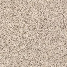 Shaw Floors Mixed Elegance I Horizon