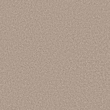 Shaw Floors Stunning I 12 Sea Shell