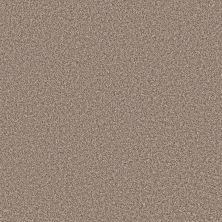 Shaw Floors Stunning I 12 Ivory Coast