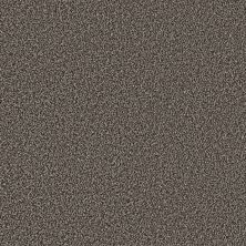 Shaw Floors Stunning I 12 Iron Age