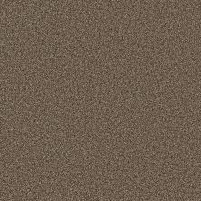 Shaw Floors Stunning I 12 River Rock