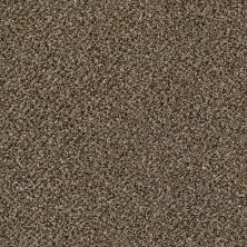 Shaw Floors Stunning II 12 Pinecone