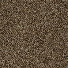 Shaw Floors Stunning II 15 Sandpiper