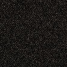 Shaw Floors Stunning II 15 Wild Horses