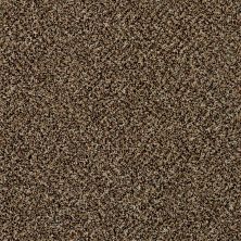 Shaw Floors Stunning III 12 Raw Sienna
