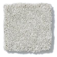 Shaw Floors Nfa/Apg Take the Floor Texture I Lead The Way 5.00E+05_00141