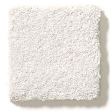 Shaw Floors Nfa/Apg Take the Floor Texture II Dove 5.00E+06_00151