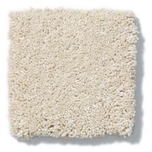 Shaw Floors Nfa/Apg Take the Floor Texture Blue Toasted 5.00E+07_00121