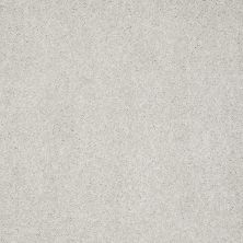 Shaw Floors Nfa/Apg Color Express II Lg Pebble Path 00135_NA210
