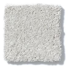 Shaw Floors Nfa/Apg Take the Floor Texture Blue Pebble Path 5.00E+07_00135