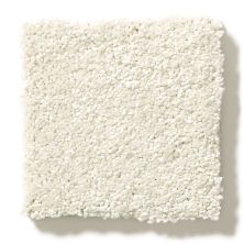 Shaw Floors Nfa/Apg Take the Floor Texture Blue Modern Loft 5.00E+07_00154