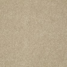 Shaw Floors Nfa/Apg Color Express II Lg Hazelnut 00750_NA210