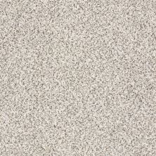 Shaw Floors Nfa/Apg Color Express Accent I Avalanche 00173_NA214
