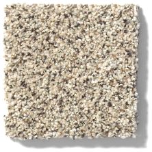 Shaw Floors Nfa/Apg Take the Floor Accent I Luna 5.00E+11_00174