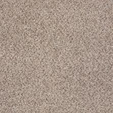 Shaw Floors Nfa/Apg Color Express Accent I Everest 00176_NA214