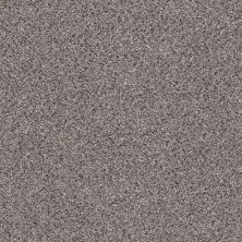 Shaw Floors Nfa/Apg Color Express Accent I Soapstone 00571_NA214