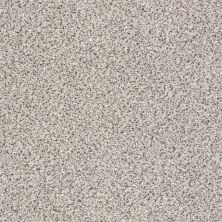 Shaw Floors Nfa/Apg Color Express Accent II Italiano 00170_NA215