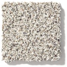 Shaw Floors Nfa/Apg Take the Floor Accent II Italiano 5.00E+12_00170