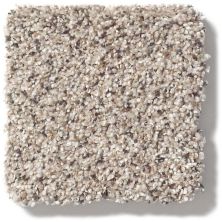 Shaw Floors Nfa/Apg Take the Floor Accent II Riverbed 5.00E+12_00171