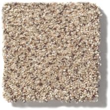 Shaw Floors Nfa/Apg Take the Floor Accent II Desert Sunrise 5.00E+12_00172