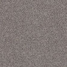 Shaw Floors Nfa/Apg Color Express Accent II Soapstone 00571_NA215