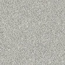 Shaw Floors Nfa/Apg Color Express Accent II Lg Avalanche 00173_NA216