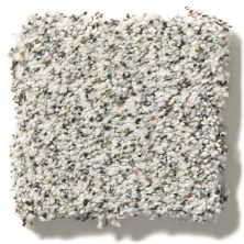 Shaw Floors Nfa/Apg Take the Floor Accent Blue Avalanche 5.00E+13_00173