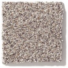 Shaw Floors Nfa/Apg Take the Floor Accent Blue Cold Springs 5.00E+13_00570