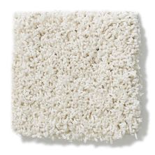 Shaw Floors Nfa/Apg Take the Floor Twist I Biscotti 5.00E+14_00131