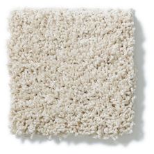 Shaw Floors Nfa/Apg Take the Floor Twist I Patience 5.00E+14_00133