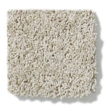 Shaw Floors Nfa/Apg Take the Floor Twist I Neutral Ground 5.00E+14_00134