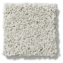 Shaw Floors Nfa/Apg Take the Floor Twist I Alpaca 5.00E+14_00140