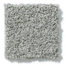 Shaw Floors Nfa/Apg Take the Floor Twist I Flint 5.00E+14_00544