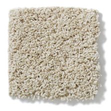 Shaw Floors Nfa/Apg Take the Floor Twist I Suitable 5.00E+14_00712