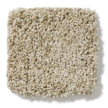 Shaw Floors Nfa/Apg Take the Floor Twist I Hazelnut 5.00E+14_00750