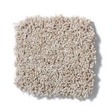 Shaw Floors Nfa/Apg Take the Floor Twist II Neutral Ground 5.00E+15_00134