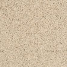Shaw Floors Nfa/Apg Color Express Twist II Lg Toasted 00121_NA219