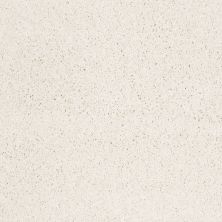 Shaw Floors Nfa/Apg Color Express Twist II Lg Paradise 00132_NA219