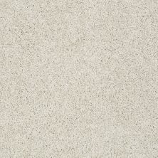 Shaw Floors Nfa/Apg Color Express Twist II Lg Alpaca 00140_NA219
