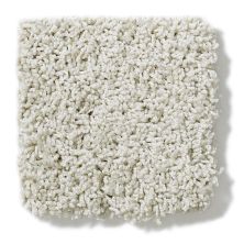 Shaw Floors Nfa/Apg Take the Floor Twist Blue Alpaca 5.00E+16_00140